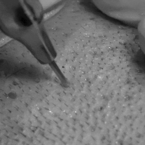 standardfue ezgif.com resize 1